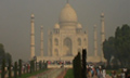 Taj Mahal Mist