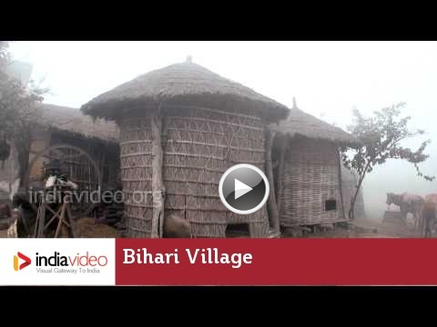Bihari Village, Bihar, India, Video